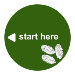 Start here